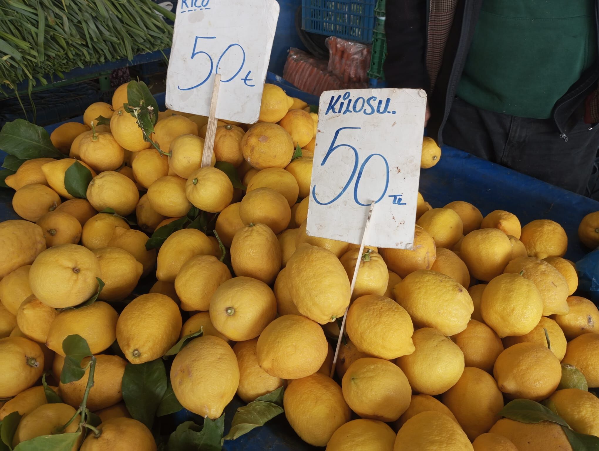 Pazar Sebze Meyve Salihli (19)