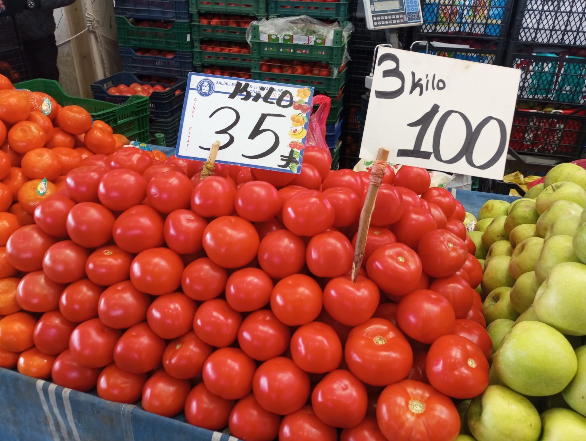 Pazar Sebze Meyve Salihli (4)