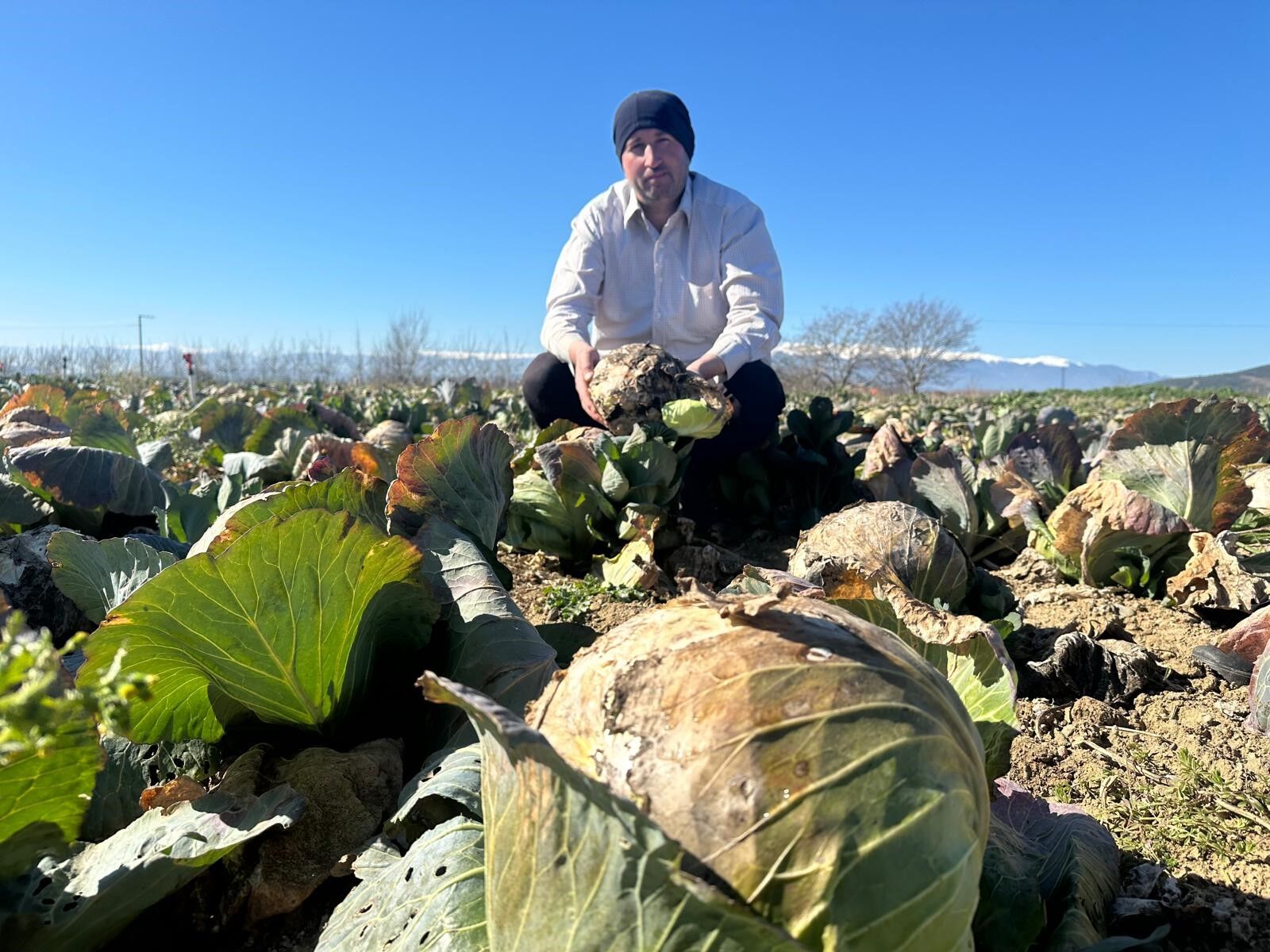Pazarda El Yakiyor Tarlada Deger Bulmuyor Ciftciden Tarim Kredi Kooperatiflerine Cagri (2)