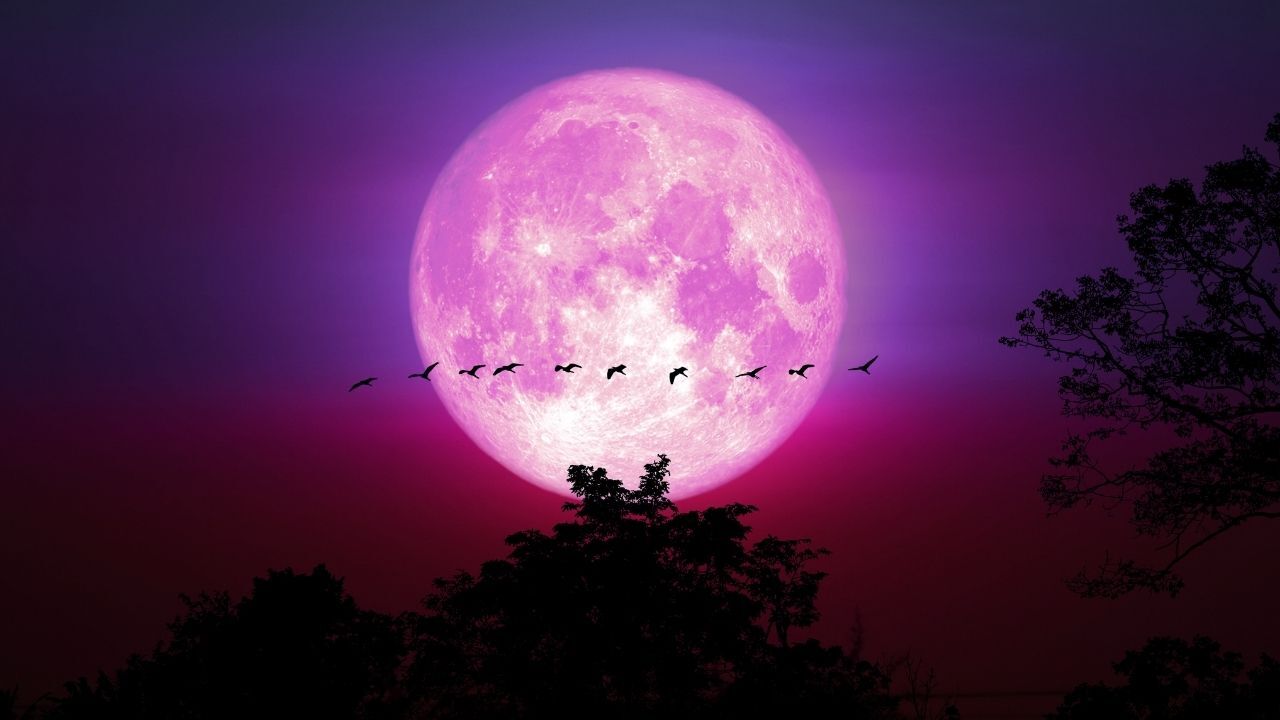 Pembe Dolunay Burçlara Etkisi