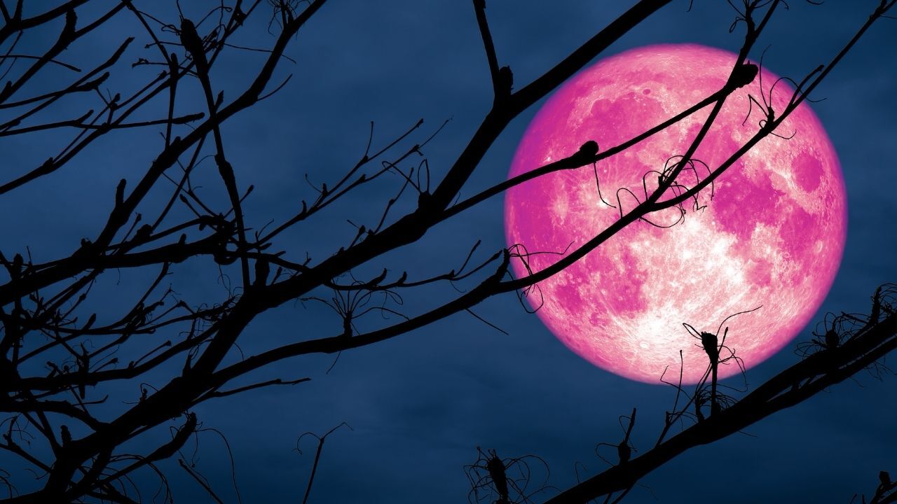 Pembe Dolunayın Genel Etkileri