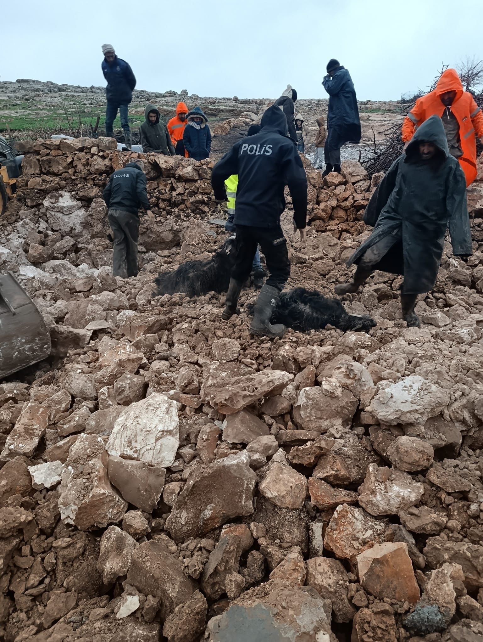 Saganak Felaketi Hayvanlar Telef Oldu Maddi Hasar Buyuk (2)