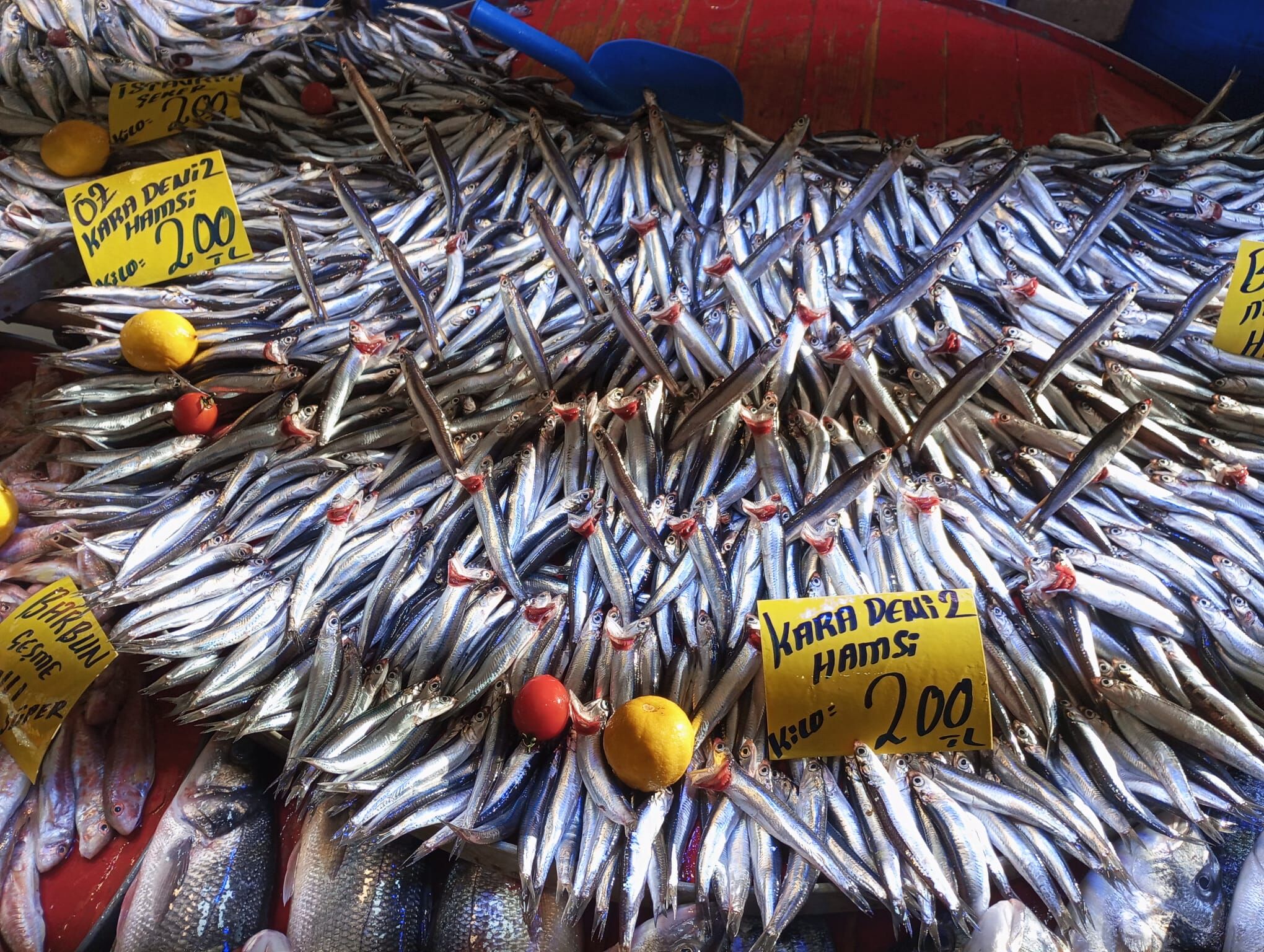 Salihli Balık Tezgahları Akaryakıt (3)