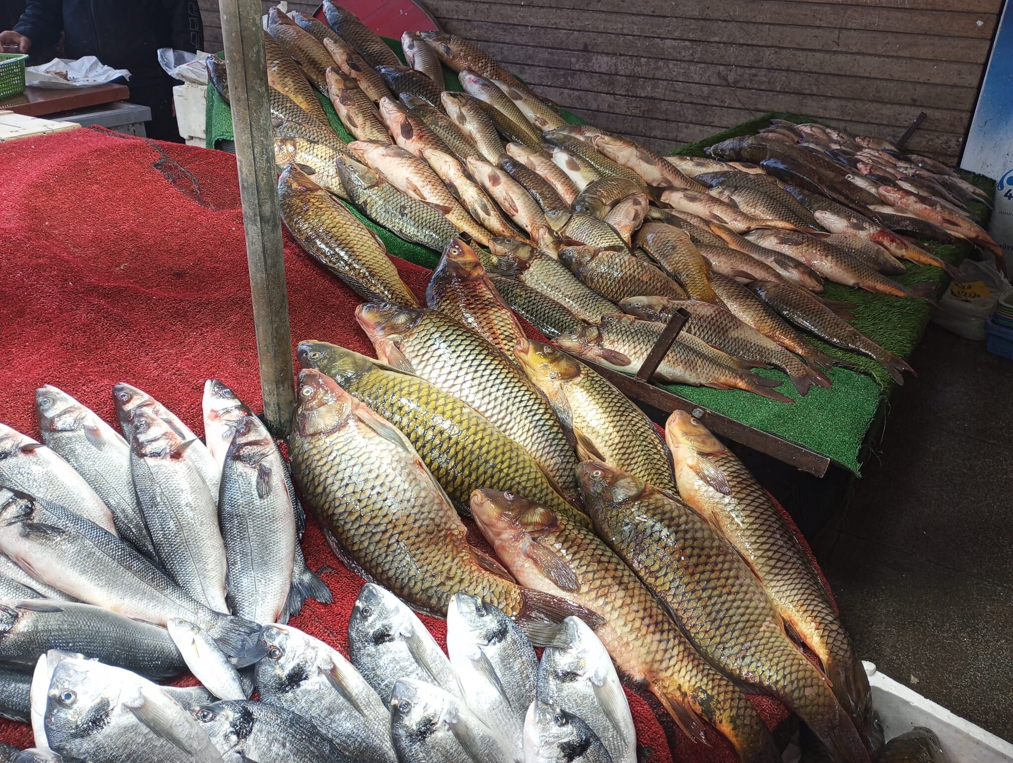 Salihli Balık Tezgahları Akaryakıt (4)