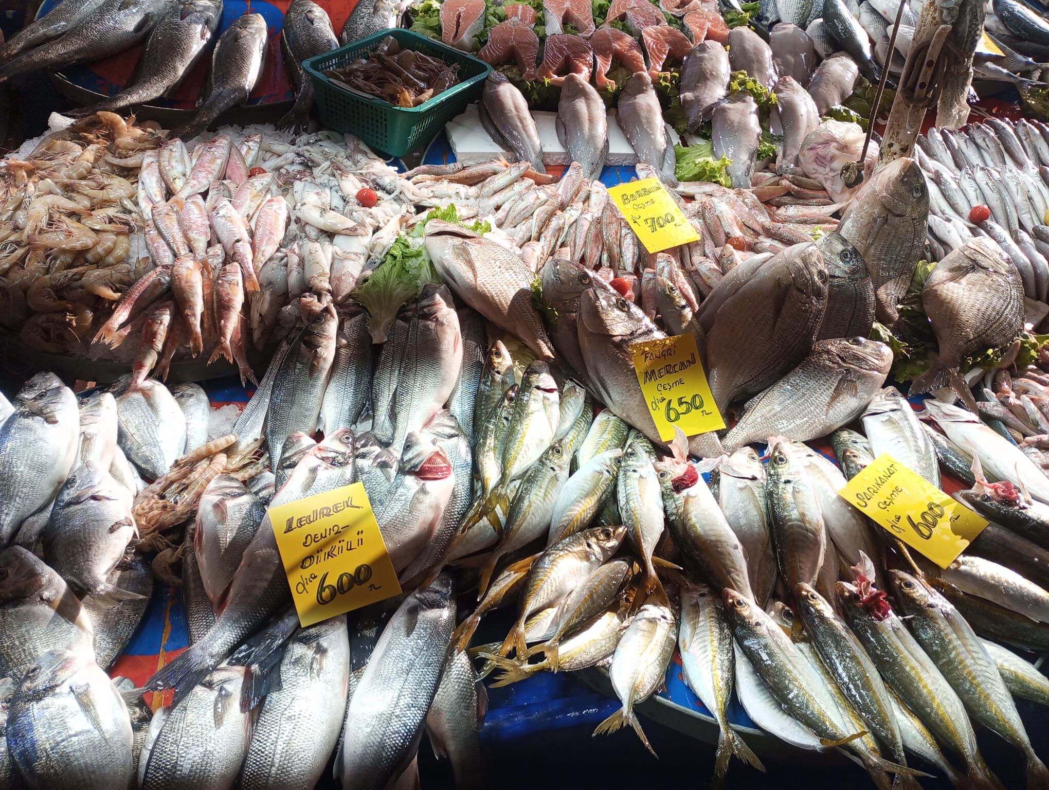 Salihli Balık Tezgahları Akaryakıt (7)