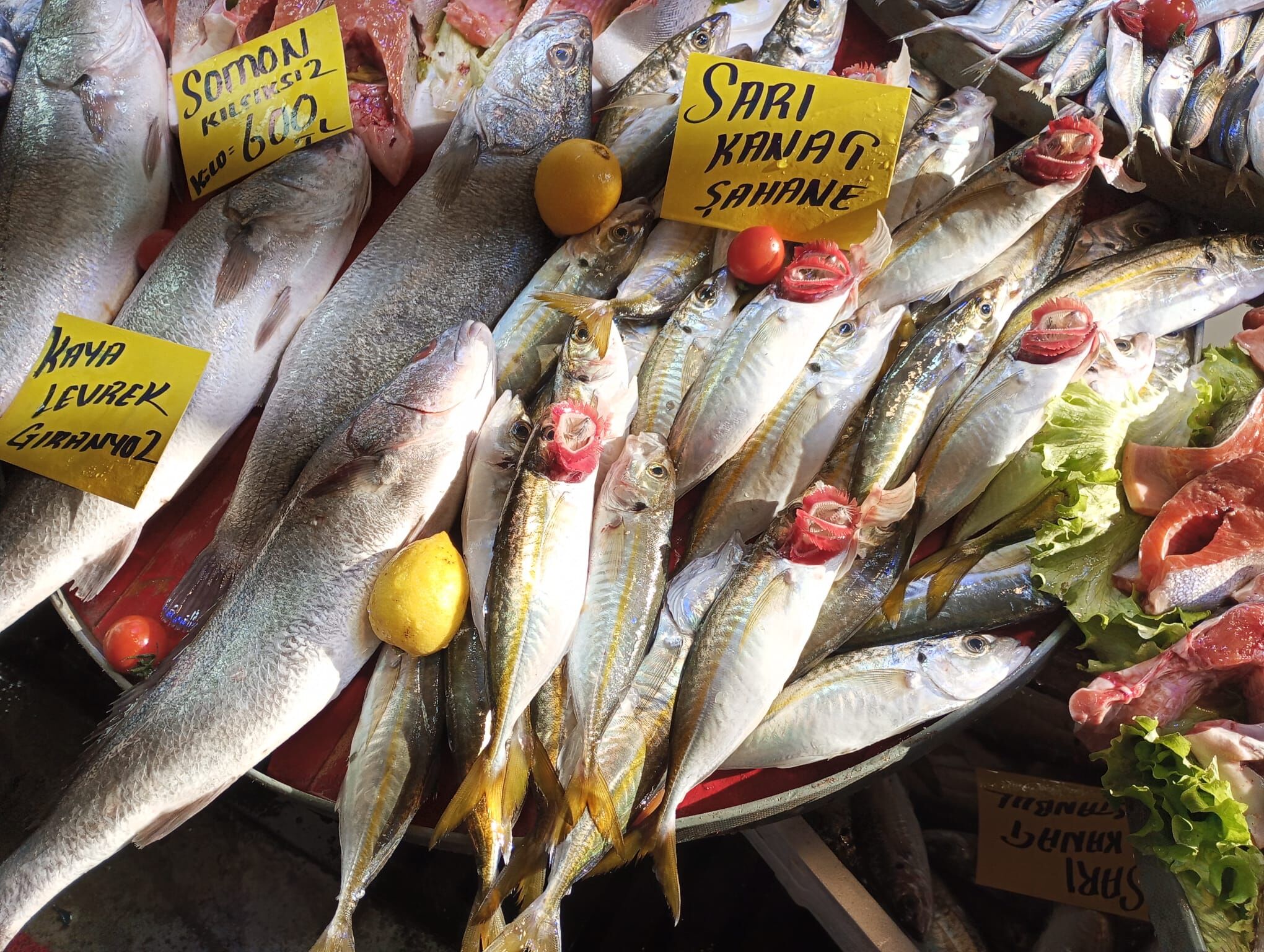 Salihli Balık Tezgahları Akaryakıt (8)