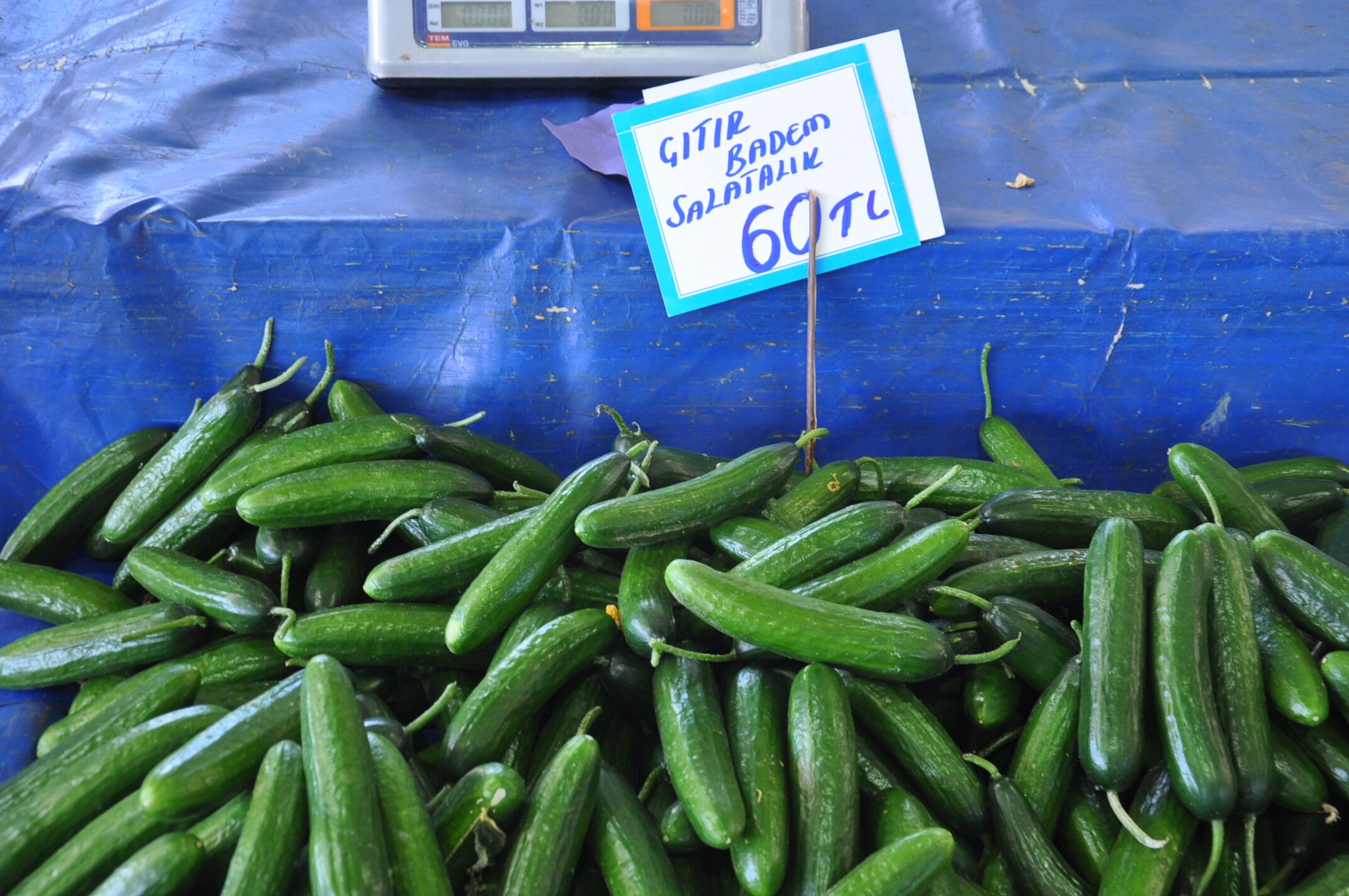 Sali̇hli̇ Pazar Çarşamba (5)