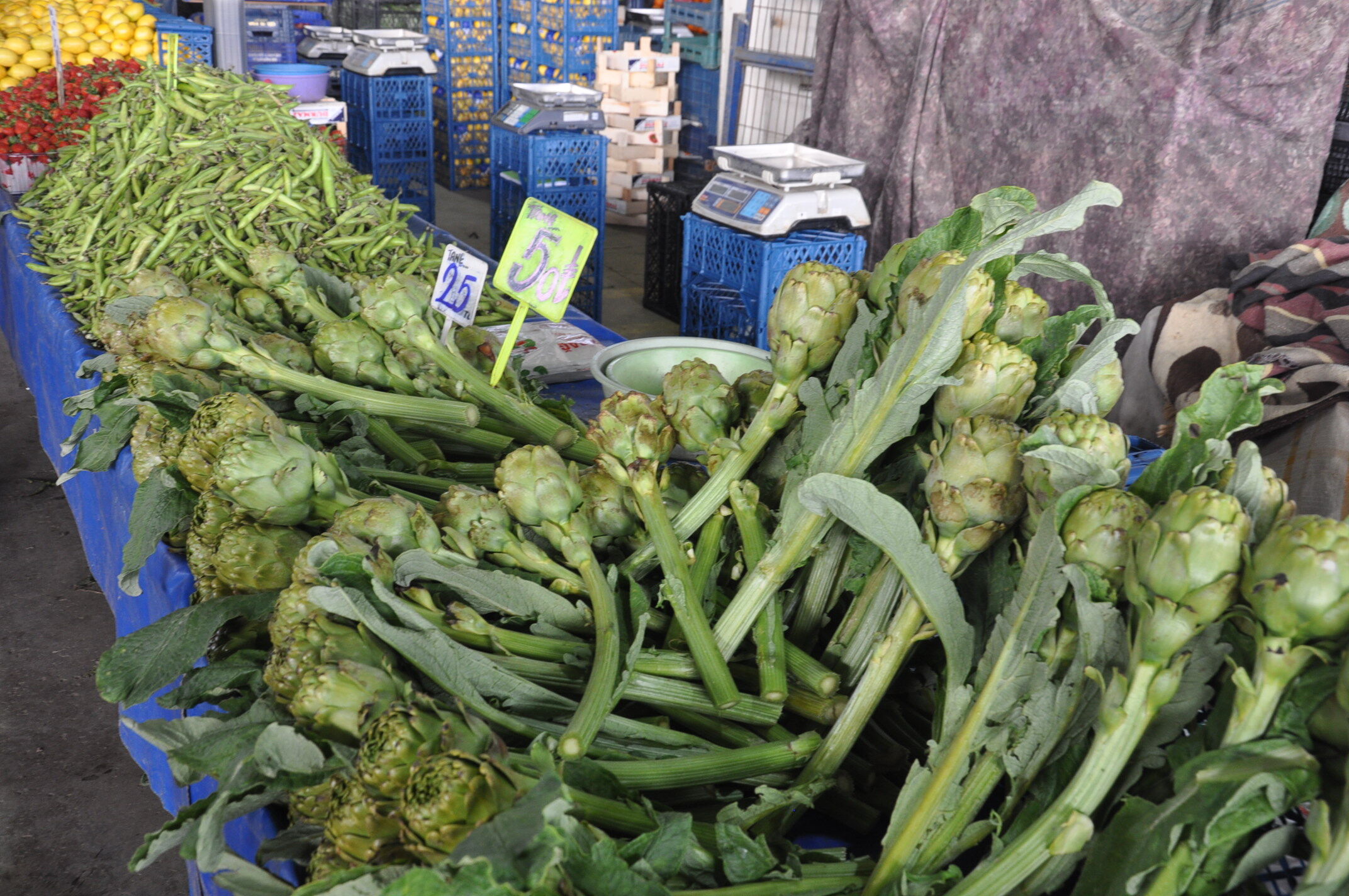 Sali̇hli̇ Pazar Yeri̇ Esnaf (9)