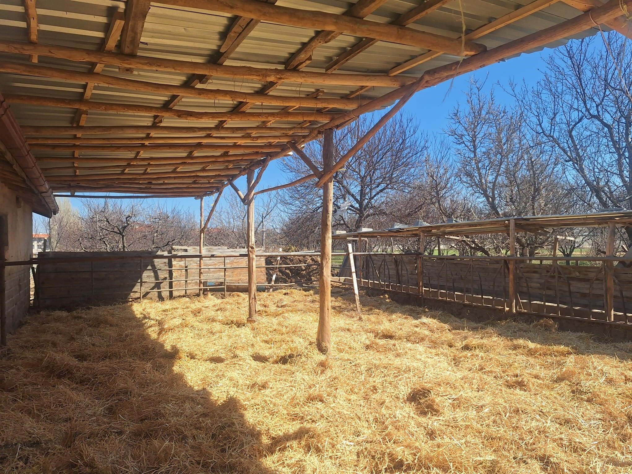 Sosyal Medyada Tepki Çeken Görüntüler Sonrası Tarım Müdürlüğü Harekete Geçti (1)-1