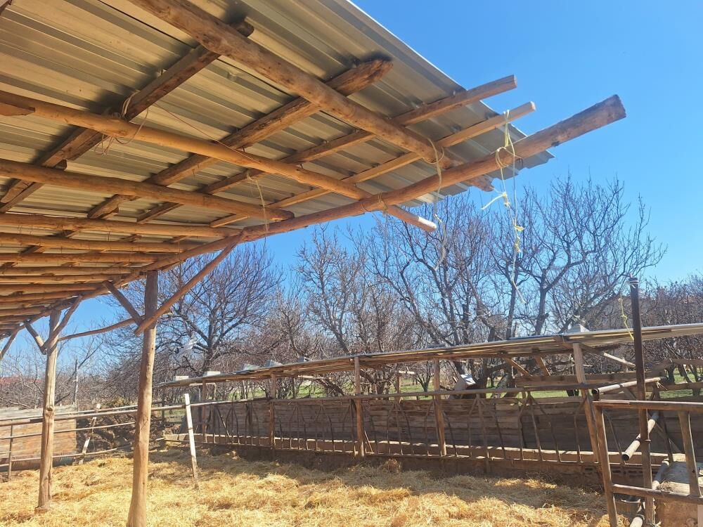 Sosyal Medyada Tepki Çeken Görüntüler Sonrası Tarım Müdürlüğü Harekete Geçti (2)