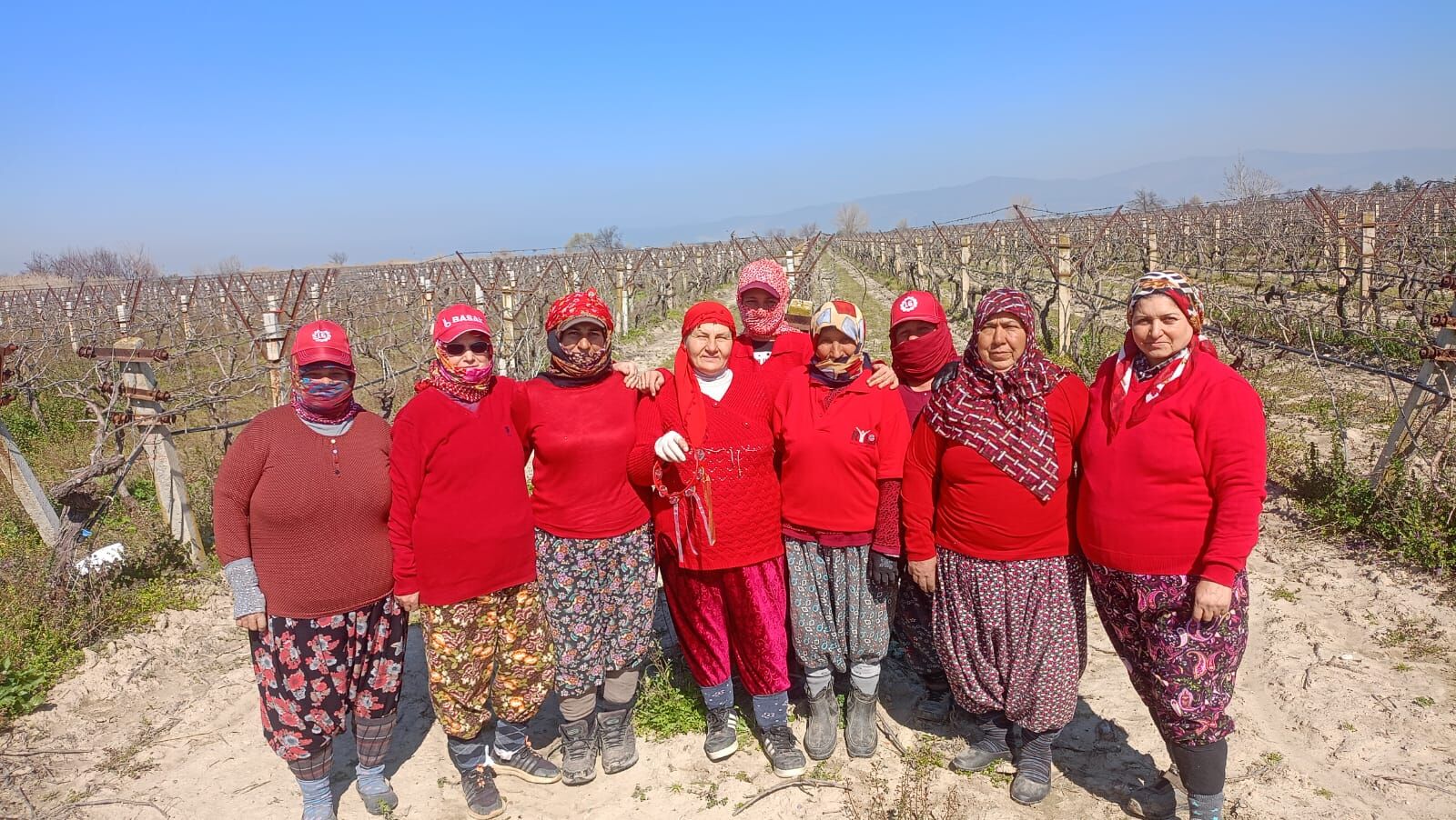 Whatsapp Image 2026 03 04 At 12.46.49