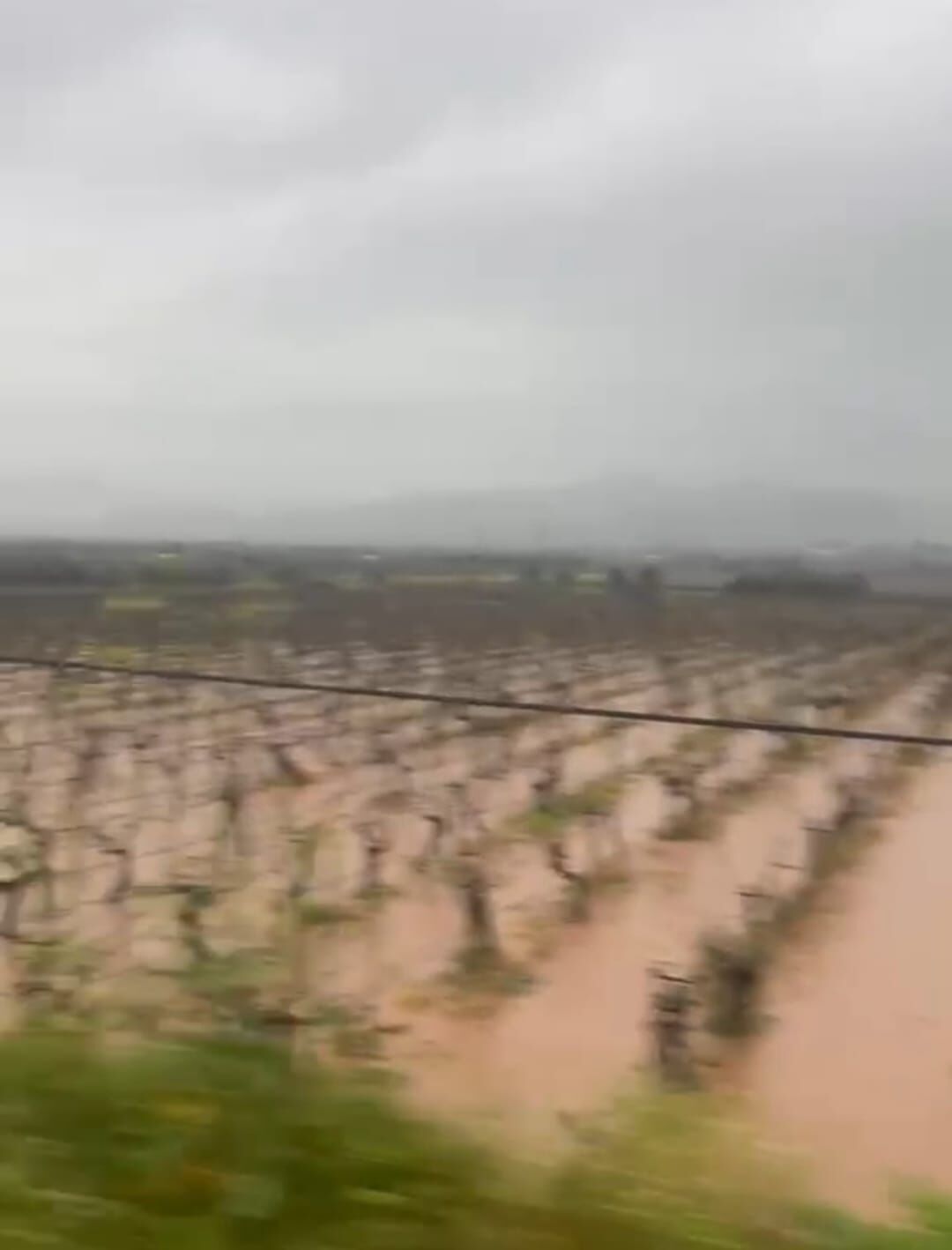 Whatsapp Image 2026 03 28 At 21.18.46