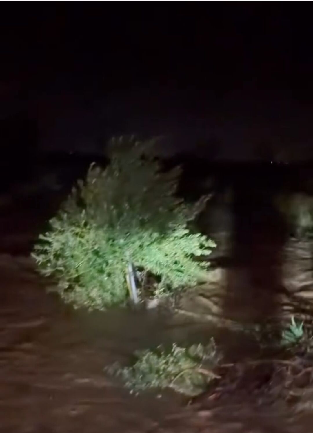 Whatsapp Image 2026 03 28 At 21.54.46