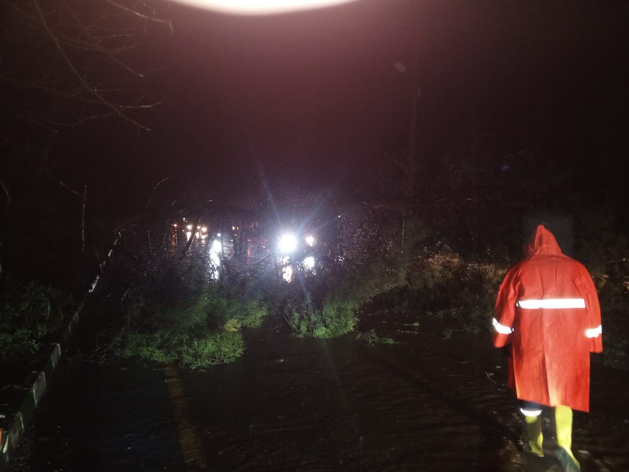 Whatsapp Image 2026 03 28 At 21.55.54