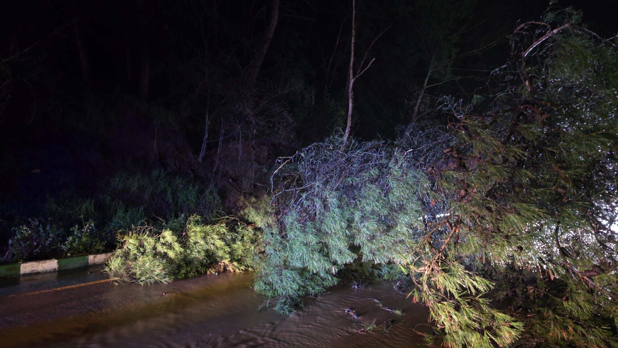 Whatsapp Image 2026 03 28 At 22.07.06