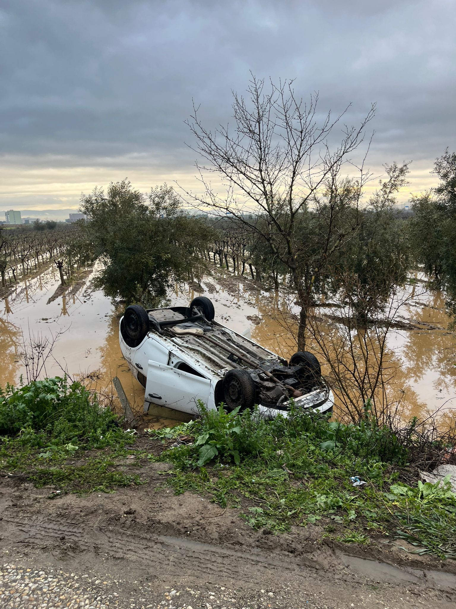 Whatsapp Image 2026 03 29 At 07.59.13