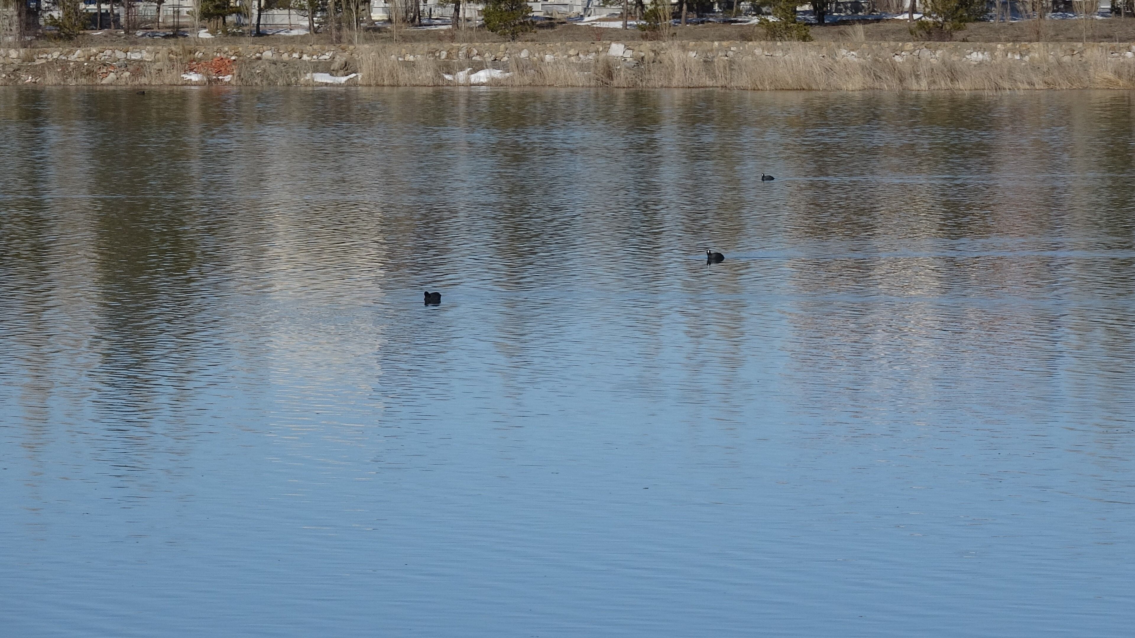 Yuzlerce Balik Telef Olmustu O Gol Yeniden Doldu 7 Ay Arayla Cekilen Dron Goruntuleri (5)