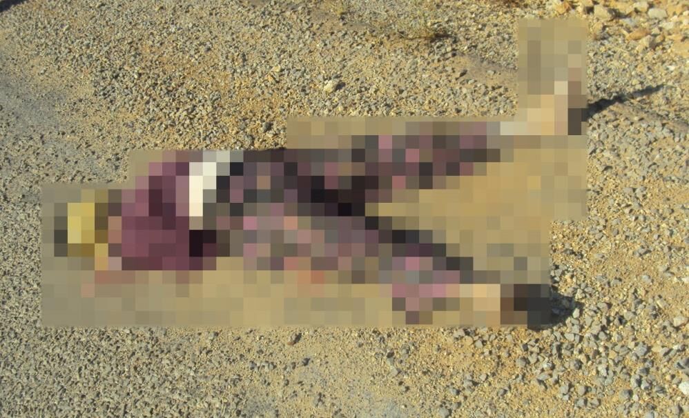 15 Yillik Faili Mechul Cinayet Cozuldu Havva Yildirimin Katili Yakalandi (2)