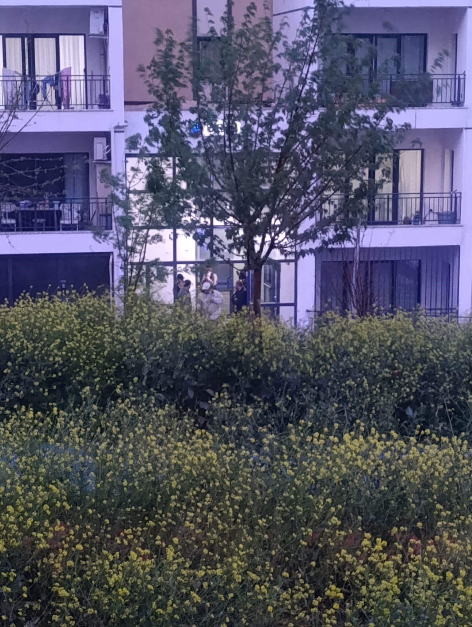 19 Yasindaki Genc Kizdan Aci Haber (3)