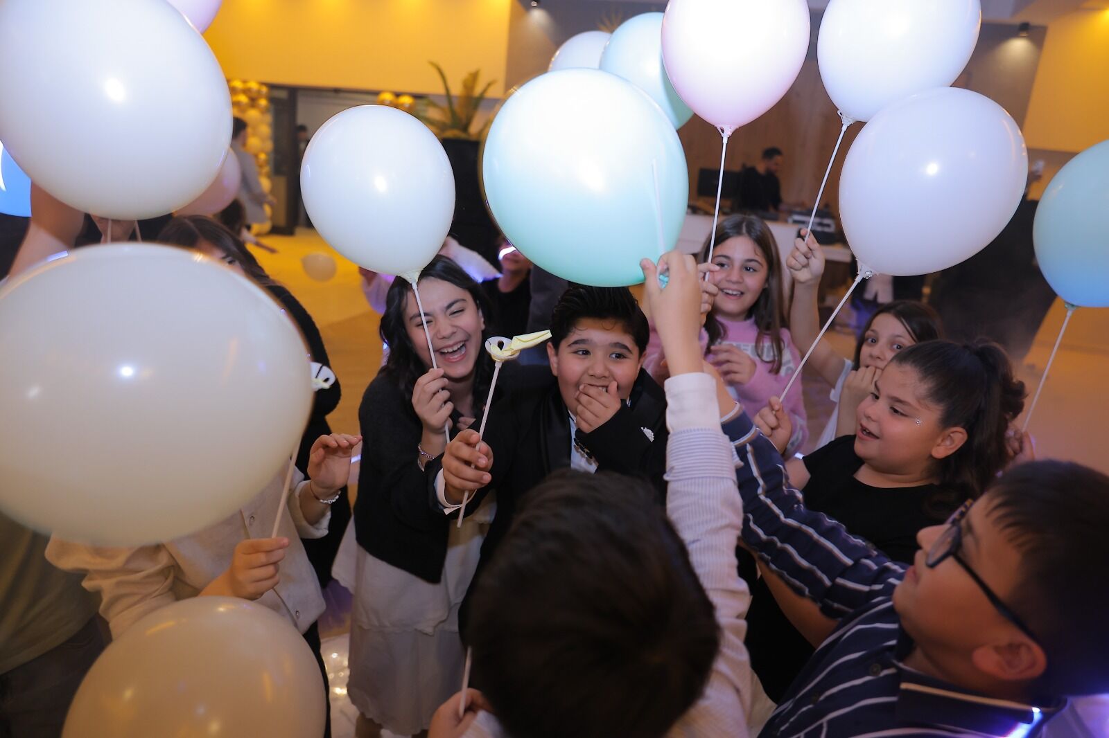 4Aa113F6 E1B8 4956 8524 007B328F0800