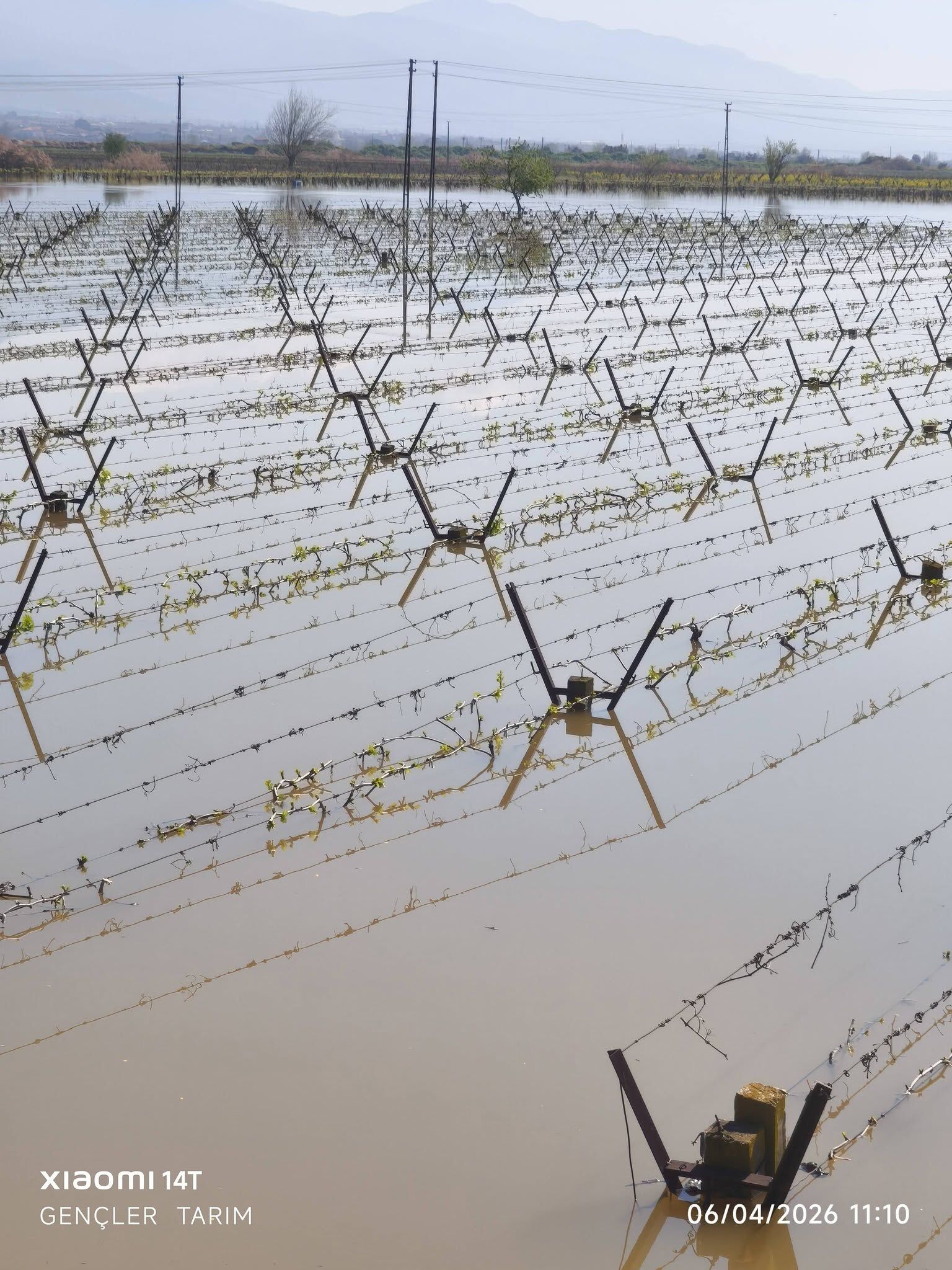 662503254 1701304207948242 2305142190340635609 N