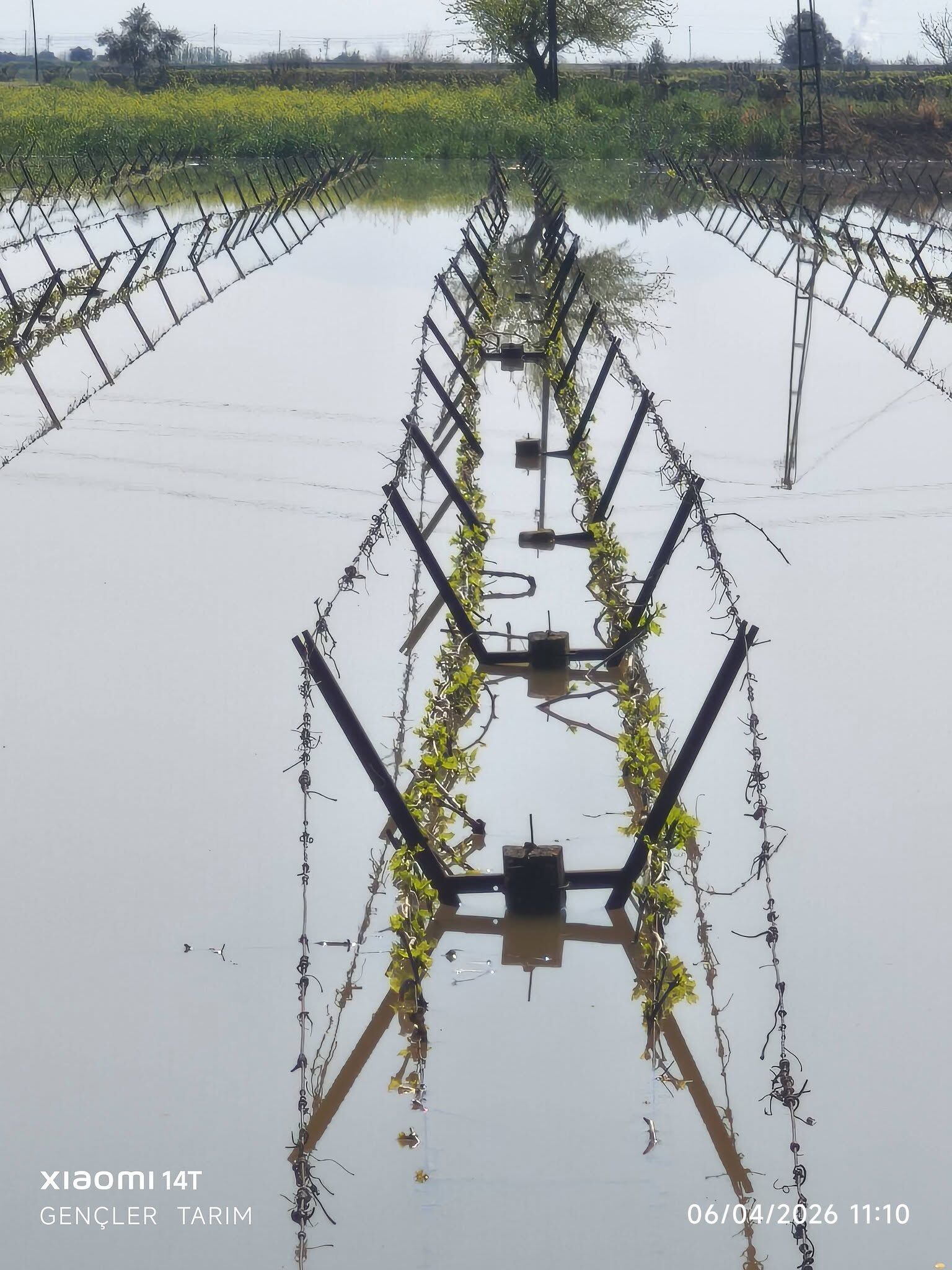 662830431 1701304054614924 1727520550333987648 N