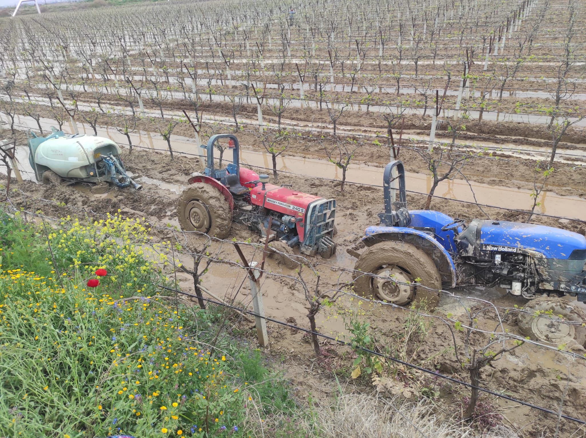 671213061 1011016487919142 6788101739304628783 N