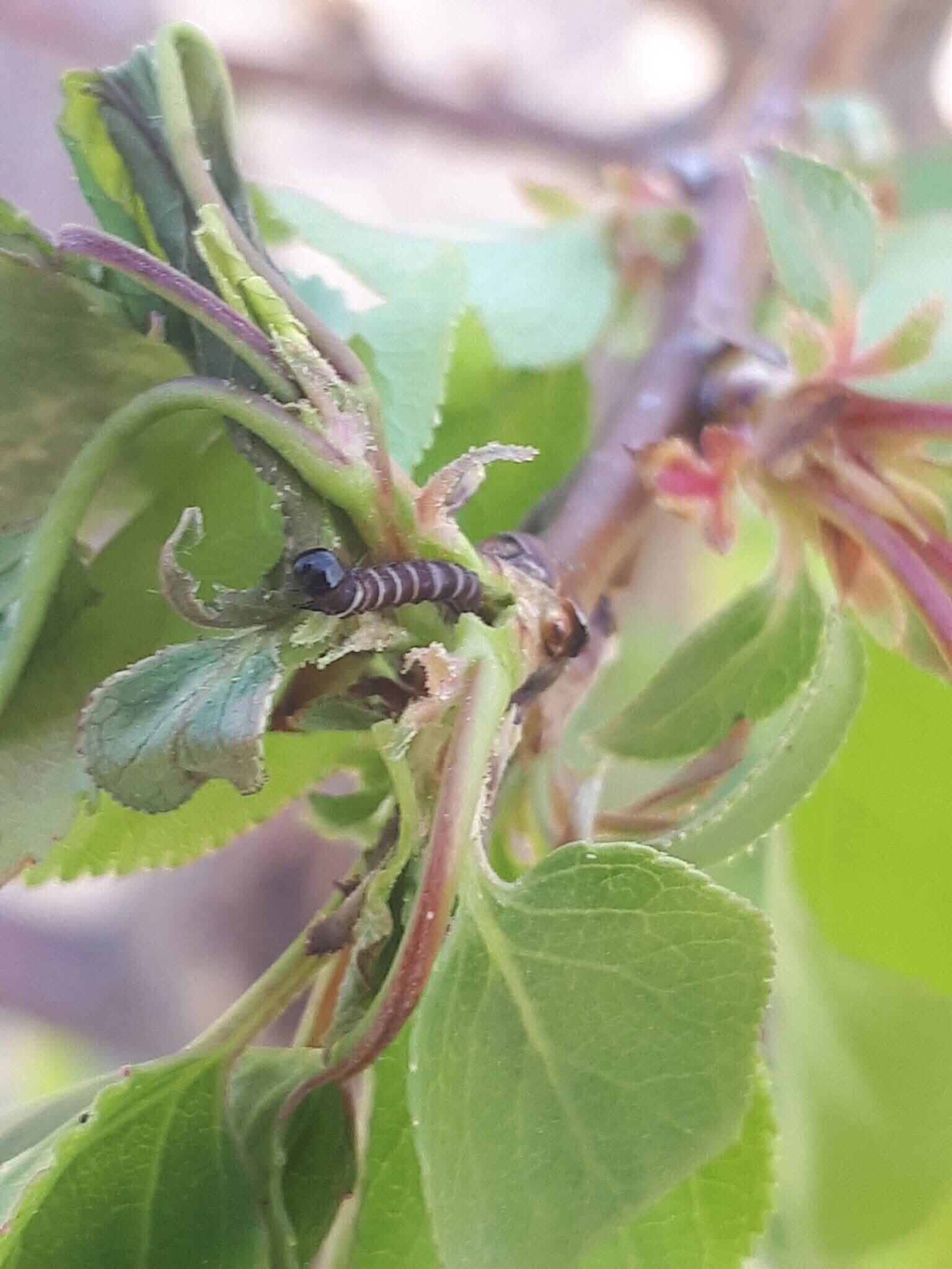 671603001 1396739615804256 1238534082259689376 N