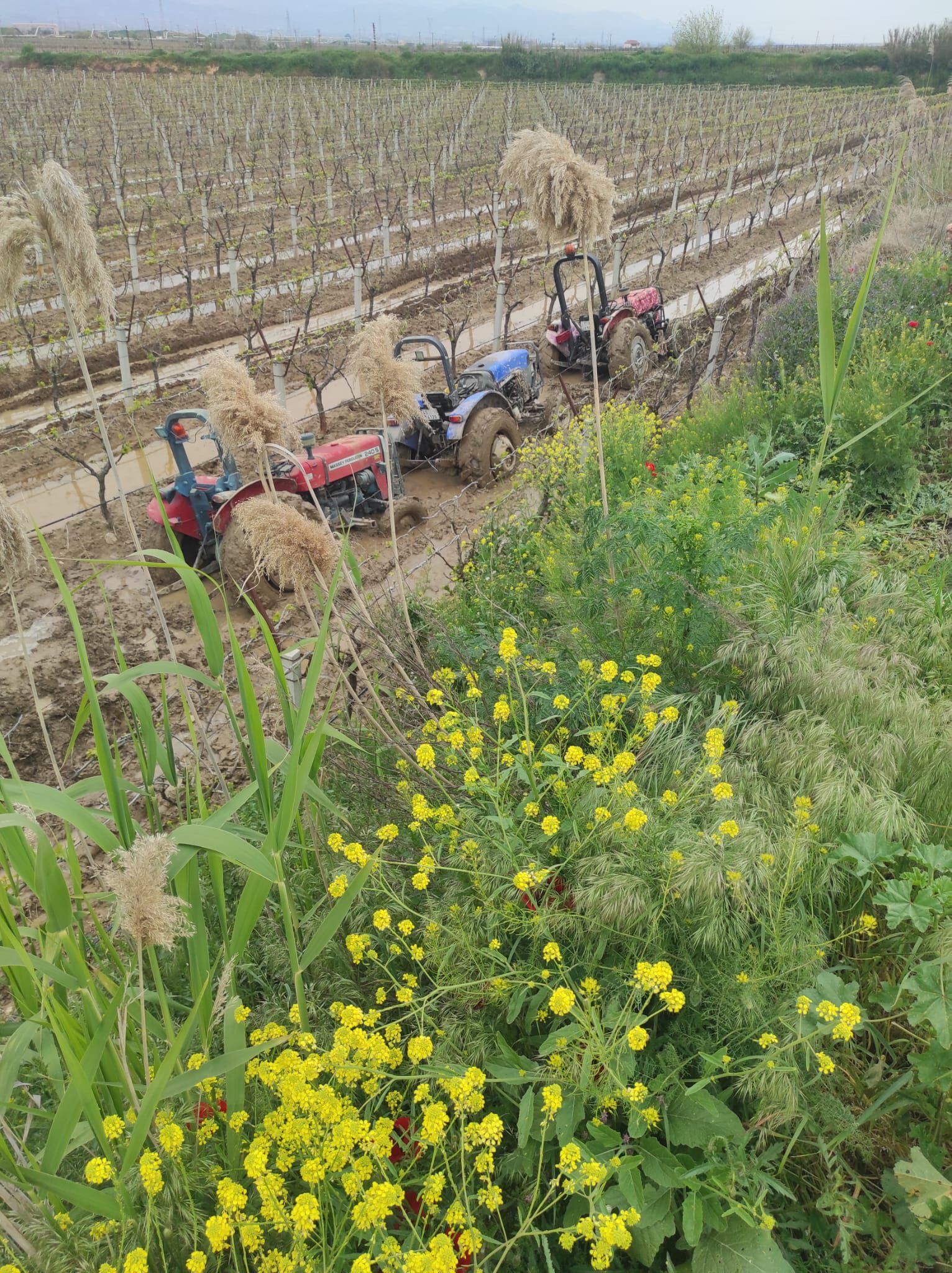 671656961 1011016511252473 4054055005673240743 N