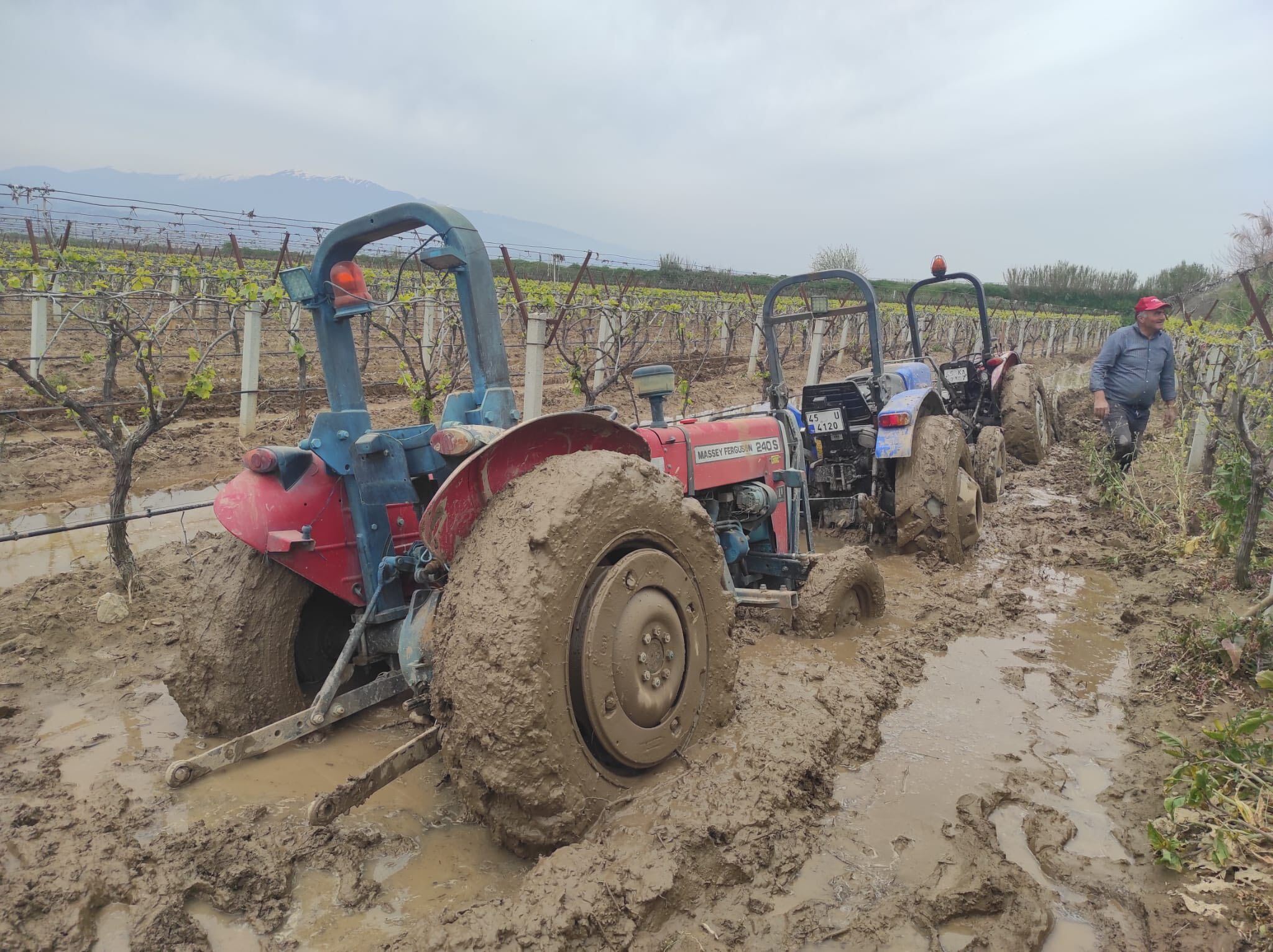 672006325 1011016467919144 6981732735240747297 N