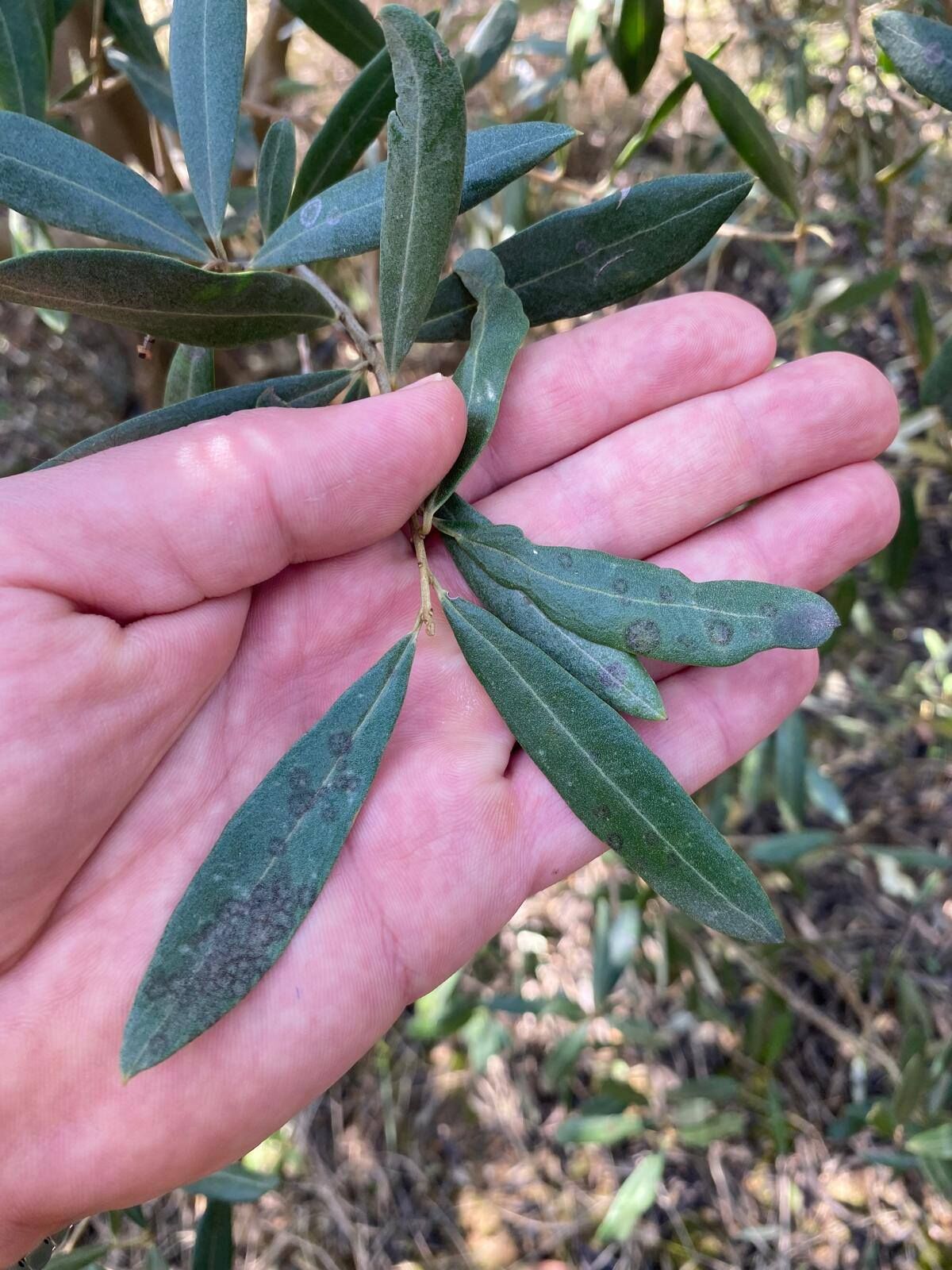 672672255 1396709962473888 4066486848825189737 N