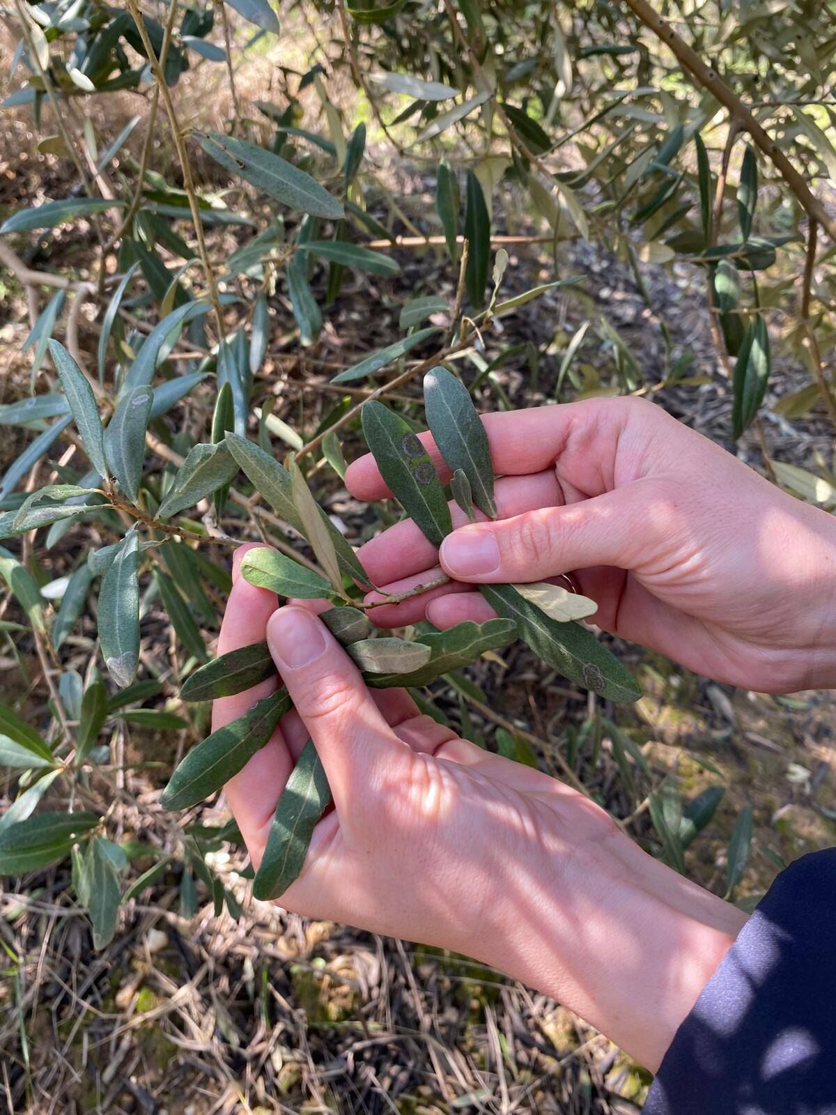 674063405 1396710012473883 5183282040255268829 N