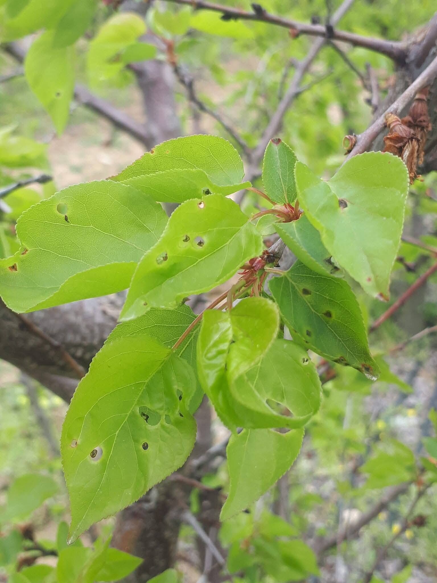 674659047 1396739432470941 3100523001002445940 N