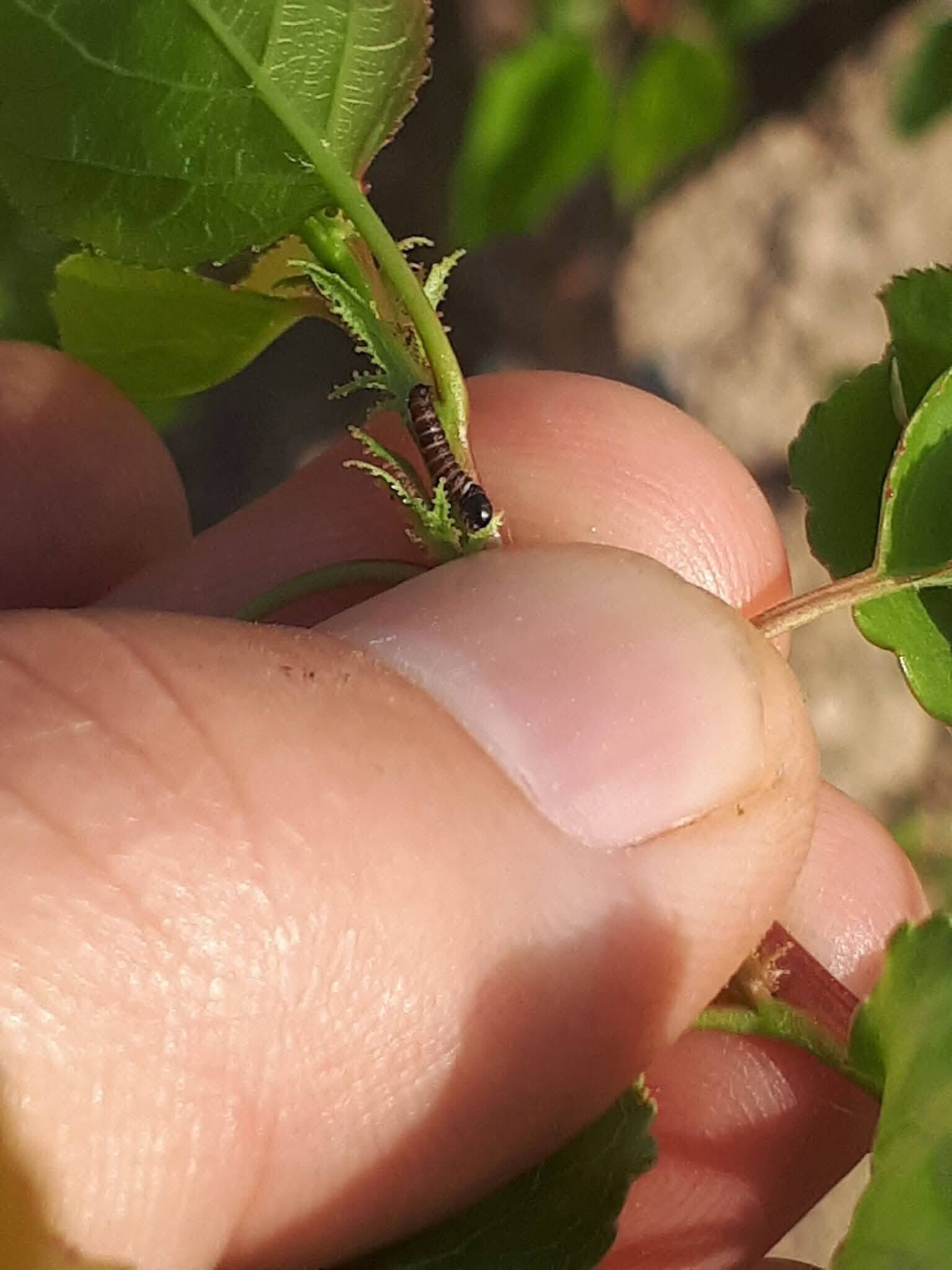 675179624 1396739479137603 7394549693944316513 N