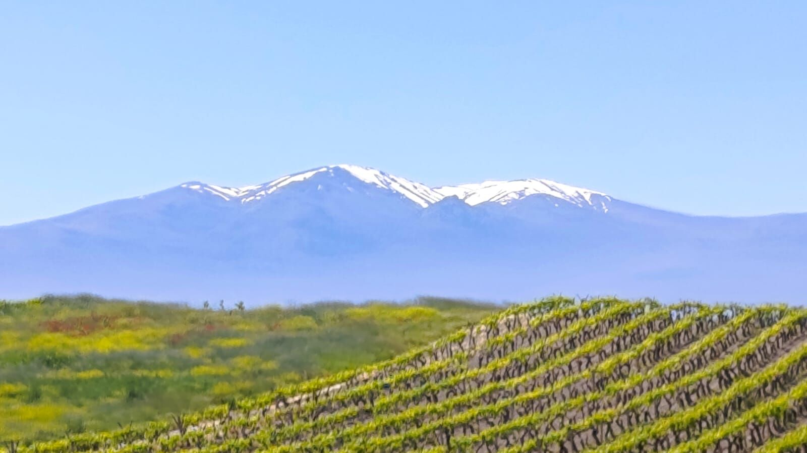 7Db27Ef6 D880 45Ed A5D5 01079E33245B