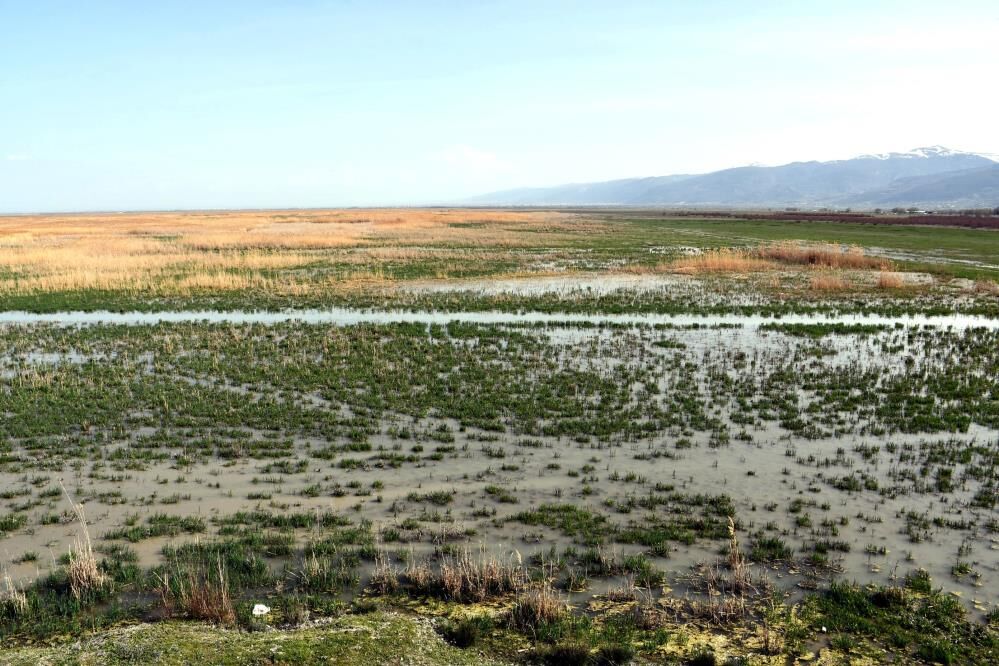 8 Yil Sonra Yeniden Su Tuttu Nasreddin Hocanin Maya Caldigi Gol Yeniden Canlandi (4)