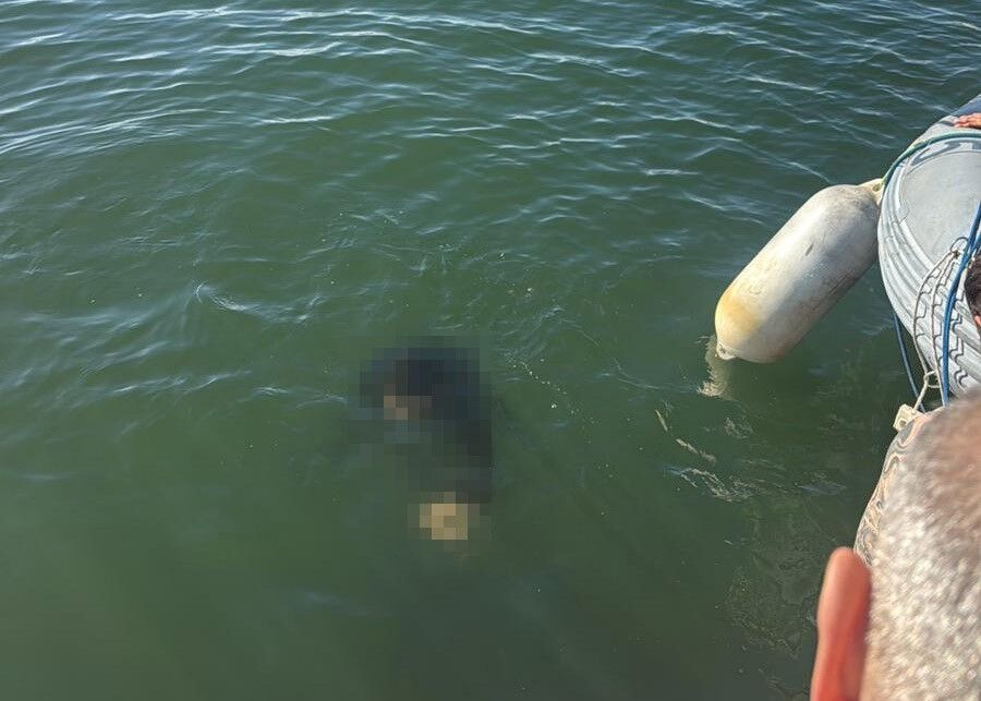 Akilalmaz Kaza Denizde Bitti Tekerlekli Sandalyesiyle Hayatini Kaybetti-2