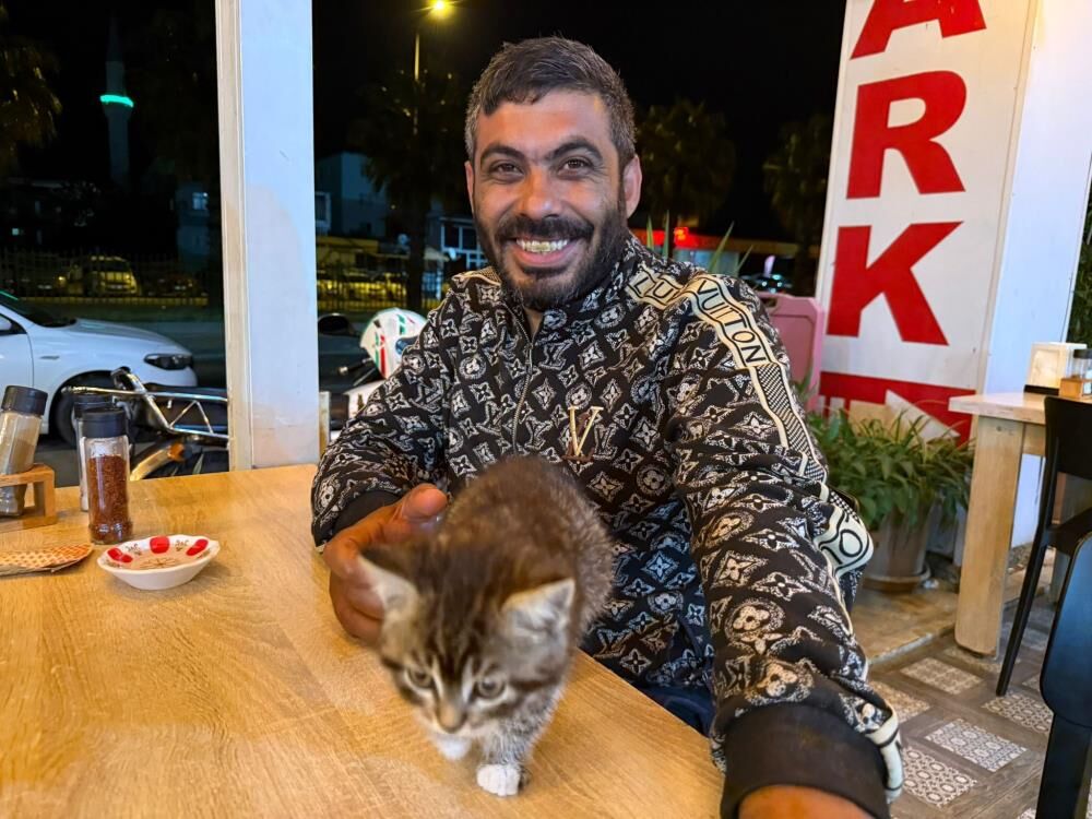 Antalya Yavru Kedi (2)