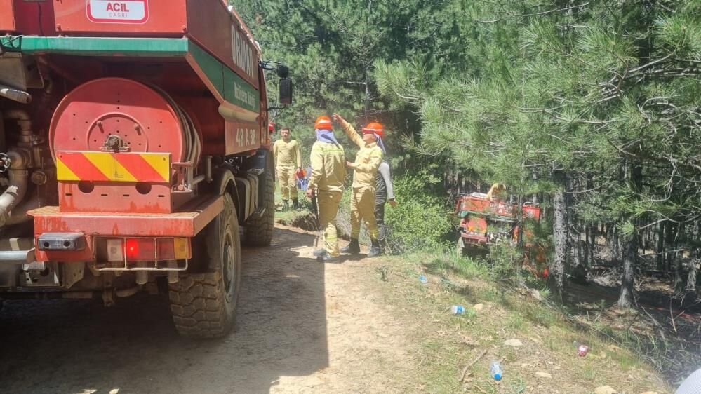 Aydın Orman Yangını (3)