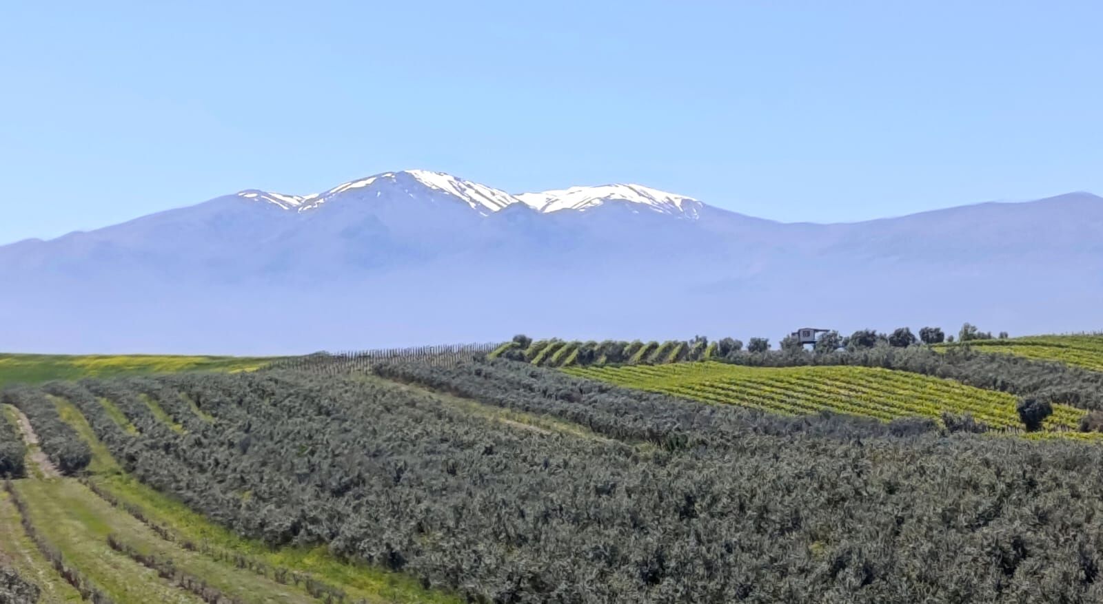 Bb5Ec54E B9Dd 4Fa8 Ad1F B246233B7552