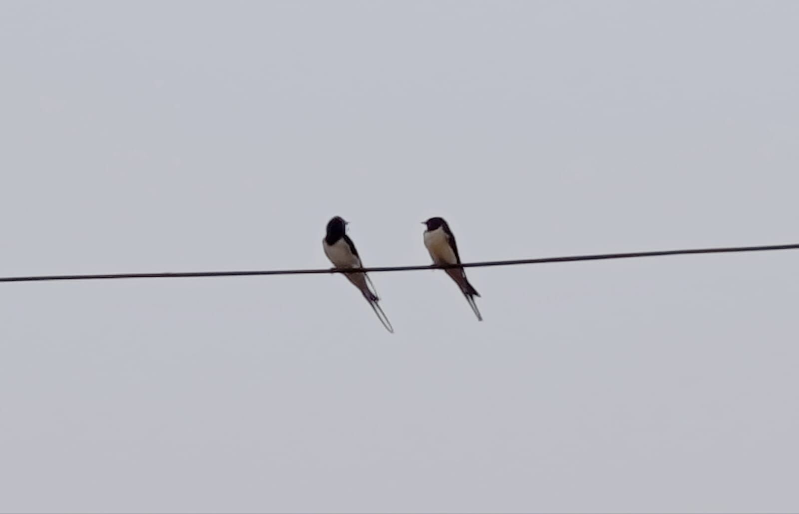 Bc7E5A0E F6Ed 4088 92D2 06989153323B