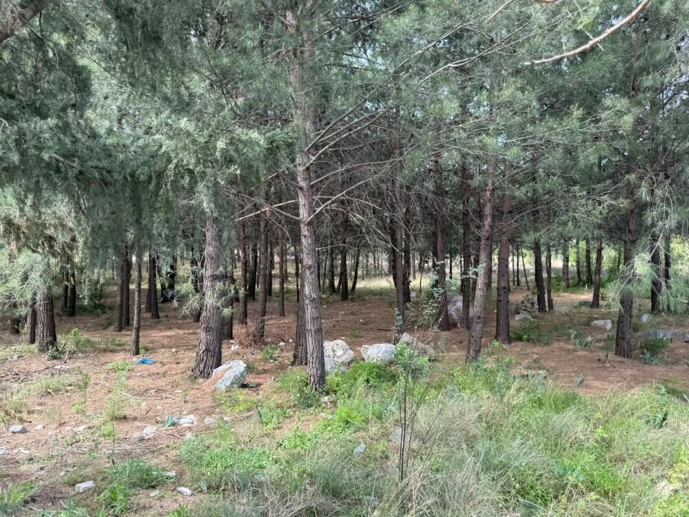 Bilezikler Icin Anneyi Ve Oglunu Olduren Katil Morga Gidip Olayi Gerceklestirenleri Go (2)