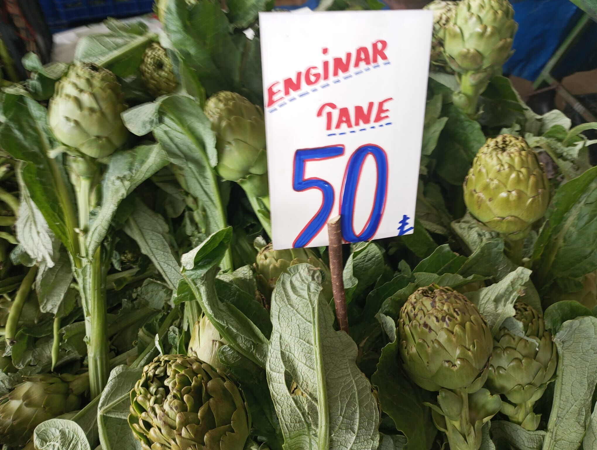 Çarşamba Pazari (3)