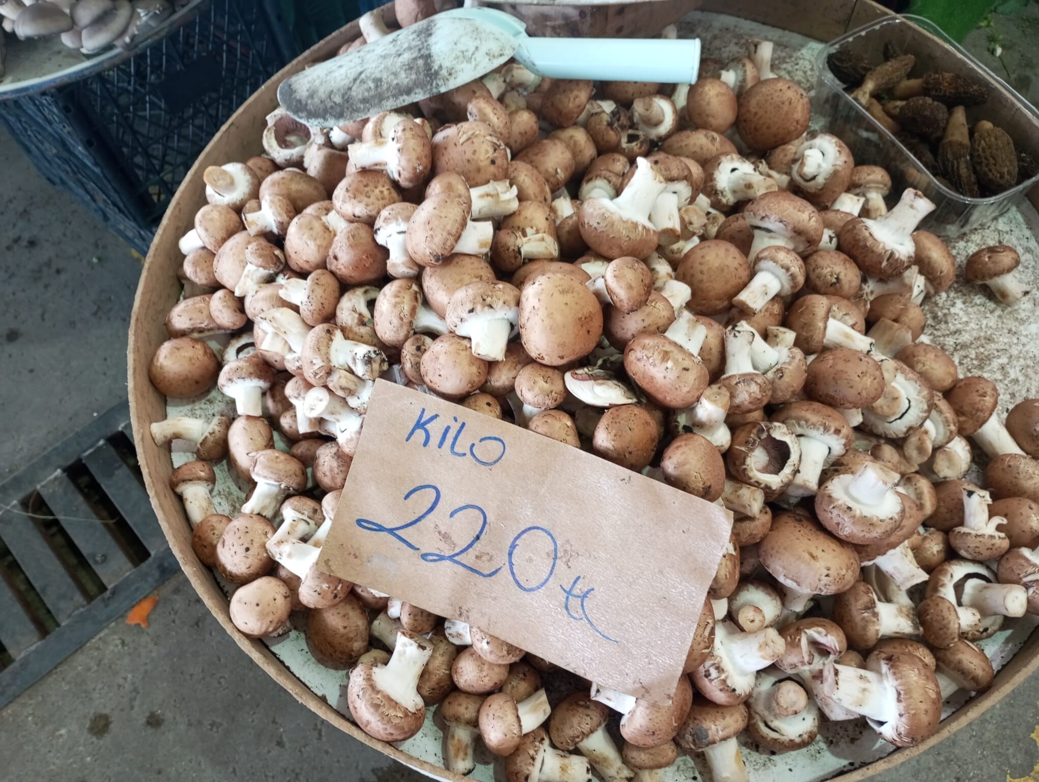 Çarşamba Pazari (9)