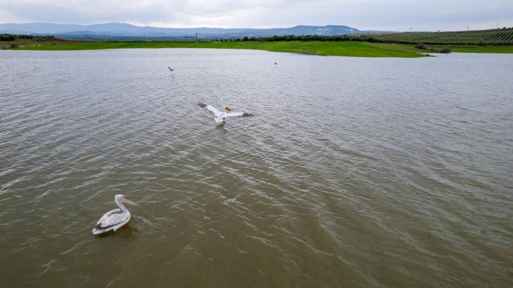 Demirkoprude Su Seviyesi Artti Balikcilik Yeniden Yukseliste (7)