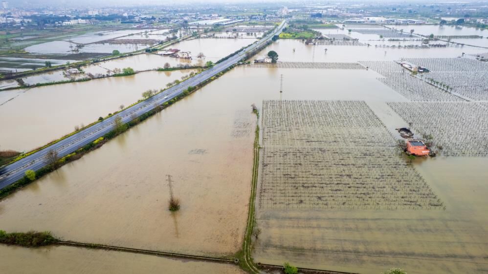 Gediz Kabardi Mahalleler Diken Ustunde (2)