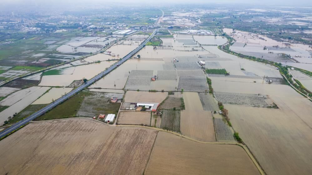 Gediz Kabardi Mahalleler Diken Ustunde (3)