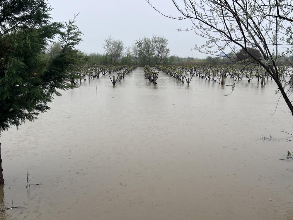 Gediz Kabardi Mahalleler Diken Ustunde (4)