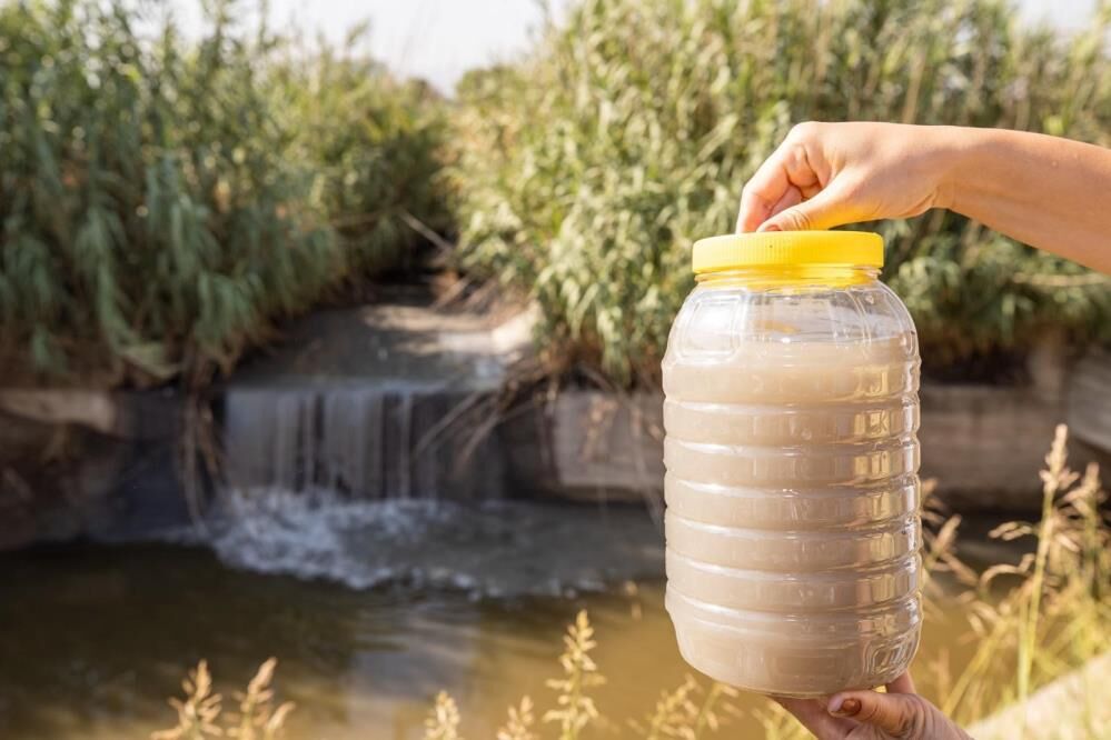 Izmir Korfezinde Deniz Marulu Alarmi Gozler Gediz Havzasinda (1)
