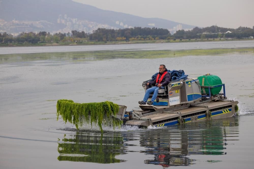 Izmir Korfezinde Deniz Marulu Alarmi Gozler Gediz Havzasinda (4)